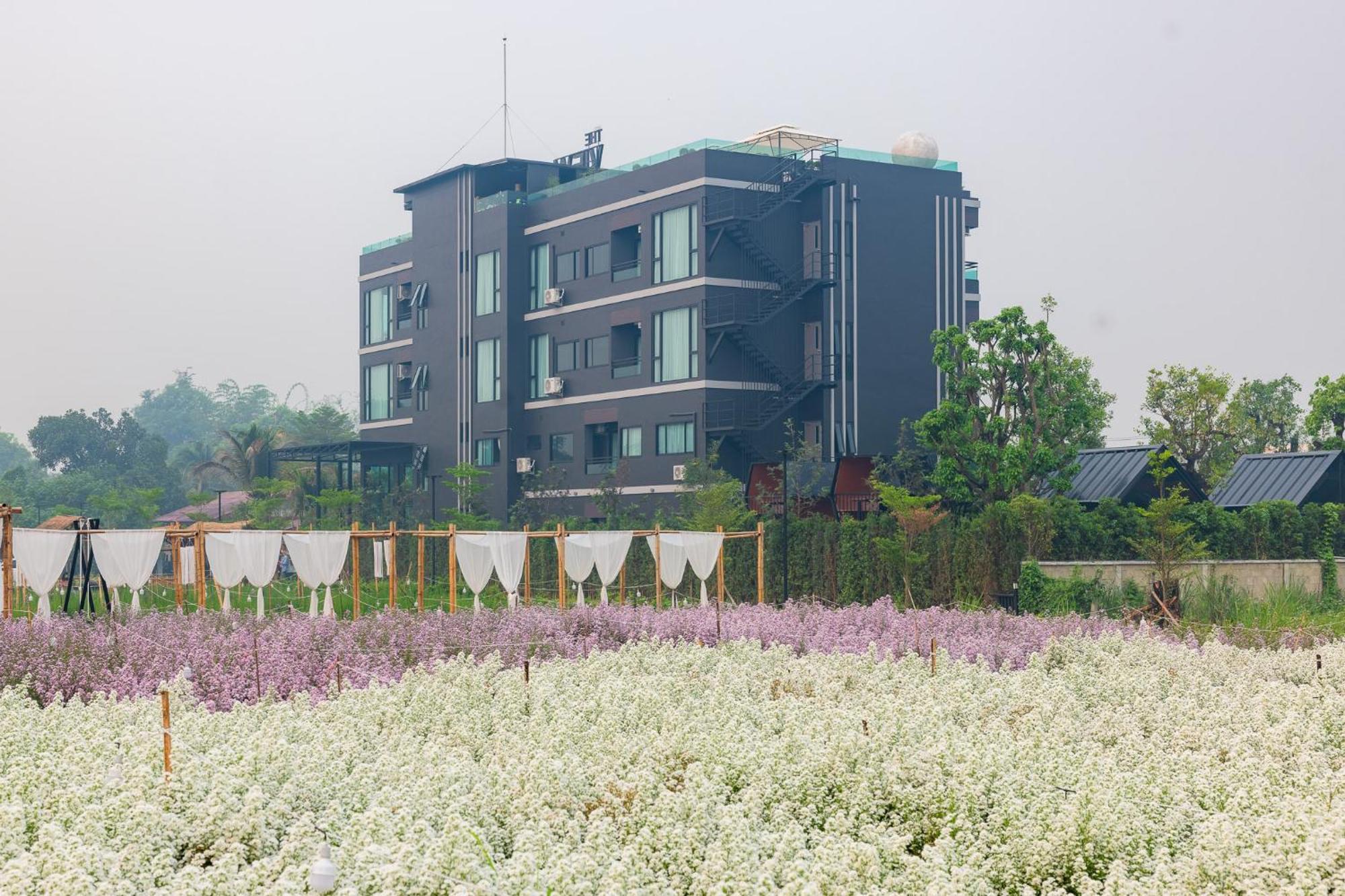 The View Chiang Dao Hotel Exterior photo